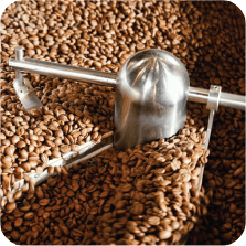 قهوه روبوستا چیست؟ تفاوت با عربیکا و نقش آن در اسپرسو